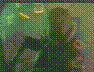 See Description