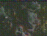 See Description