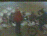 See Description