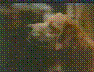 See Description