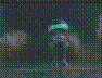 See Description