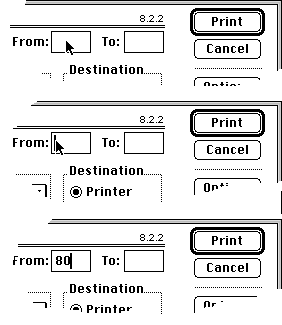 Pointer Obscuring Sequence